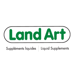 Land Art