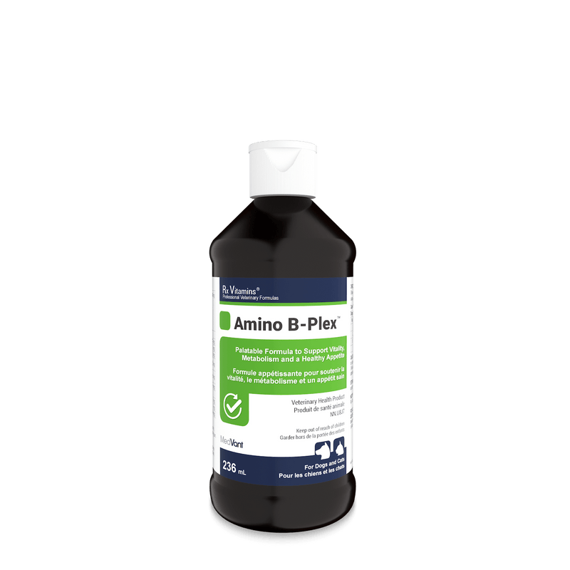 RX Vitamins Amino B-Plex