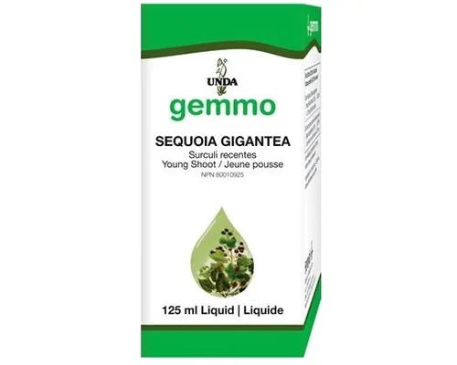 UNDA Gemmo Sequoia gigantea