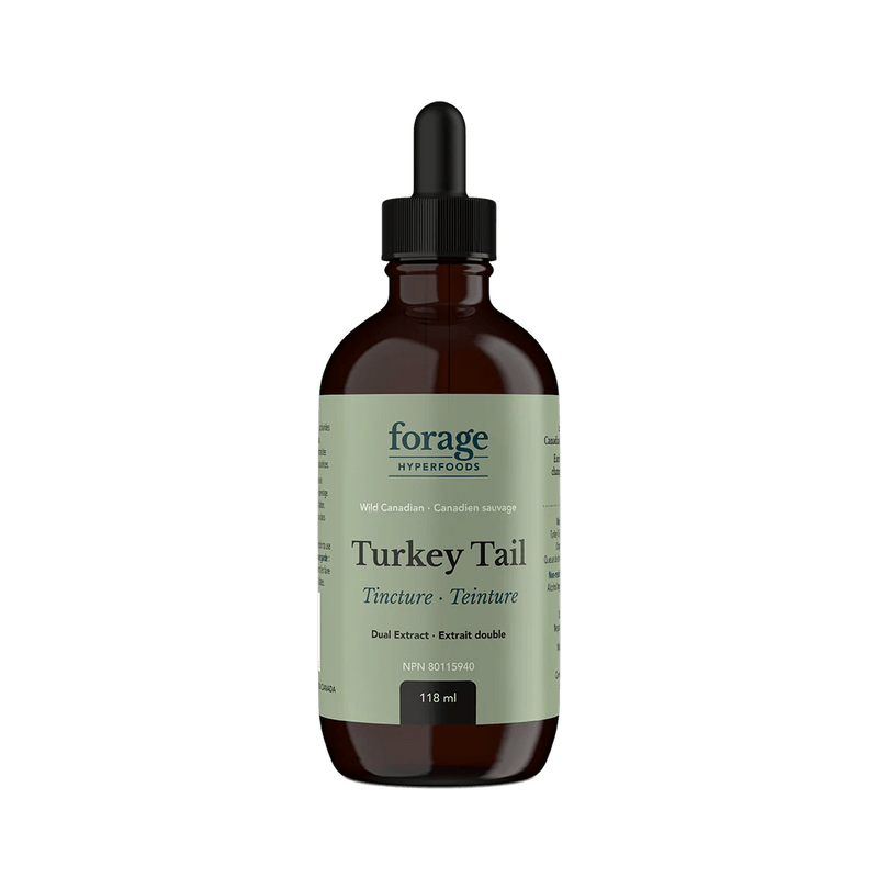 Forage Hyperfoods Turkey Tail Tincture - Original