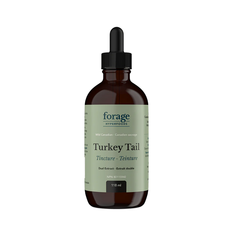 Forage Hyperfoods Turkey Tail Tincture - Original