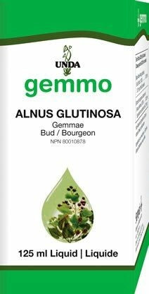Gemmo Alnus glutinosa
