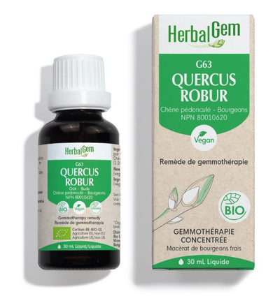 HerbalGem Quercus robur (Oak) G63 - Vitamin Tree