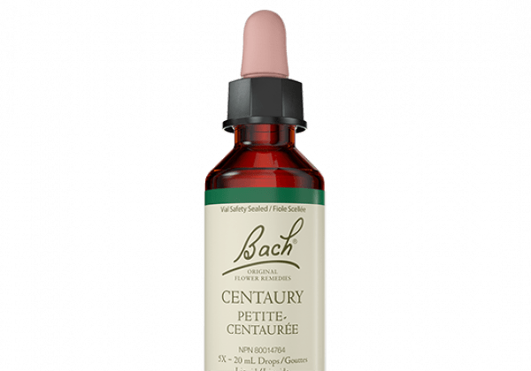 Bach Flower Remedy - Centaury