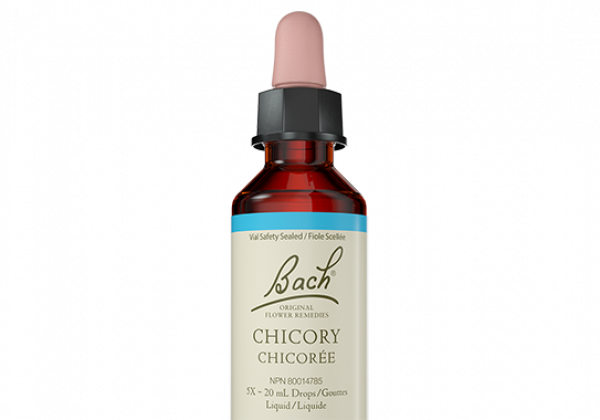 Bach Flower Remedy - Chicory