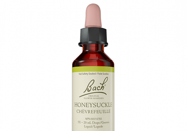 Bach Flower Remedy - Honeysuckle