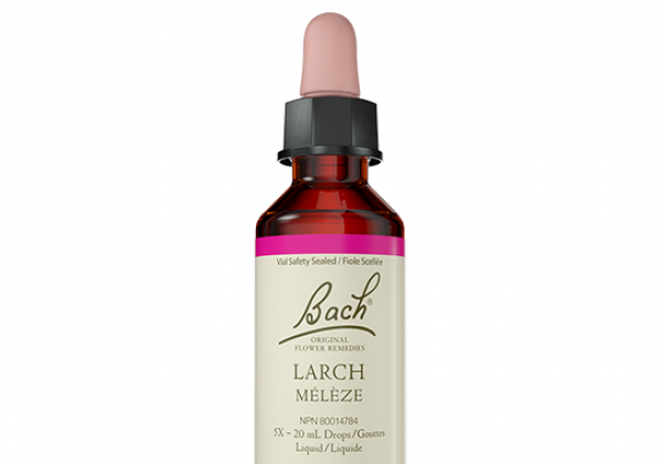 Bach Flower Remedy - Larch