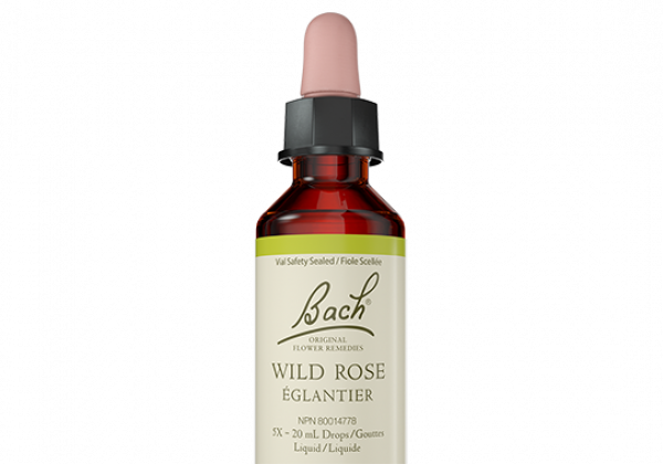 Bach Flower Remedy - Wild Rose